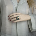 Superb ring in titanium and gold