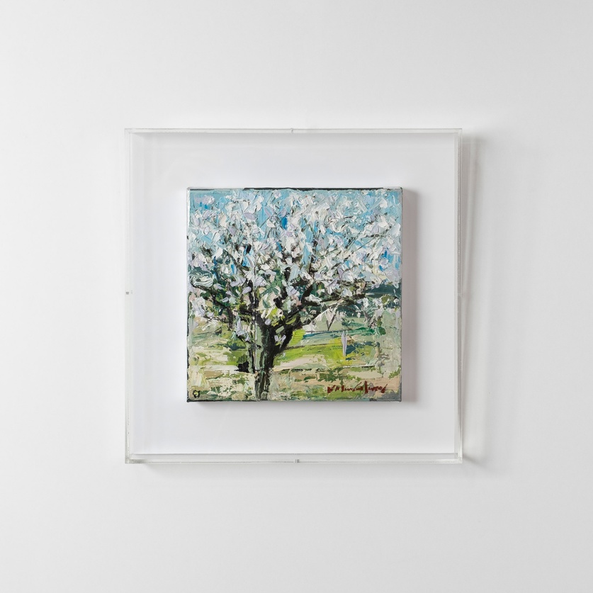 Almond Tree in Bloom