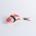 Red Koi Fish
