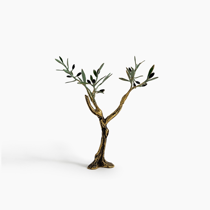 Beautiful bronze young olive tree